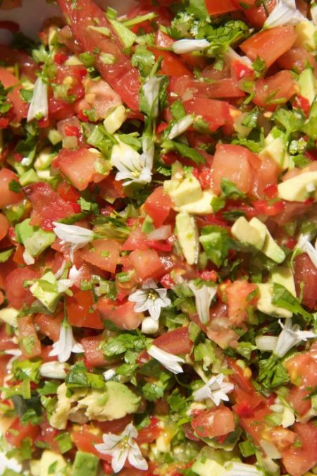 A weed by any other name, snowbell Garlic or onion weed salsa