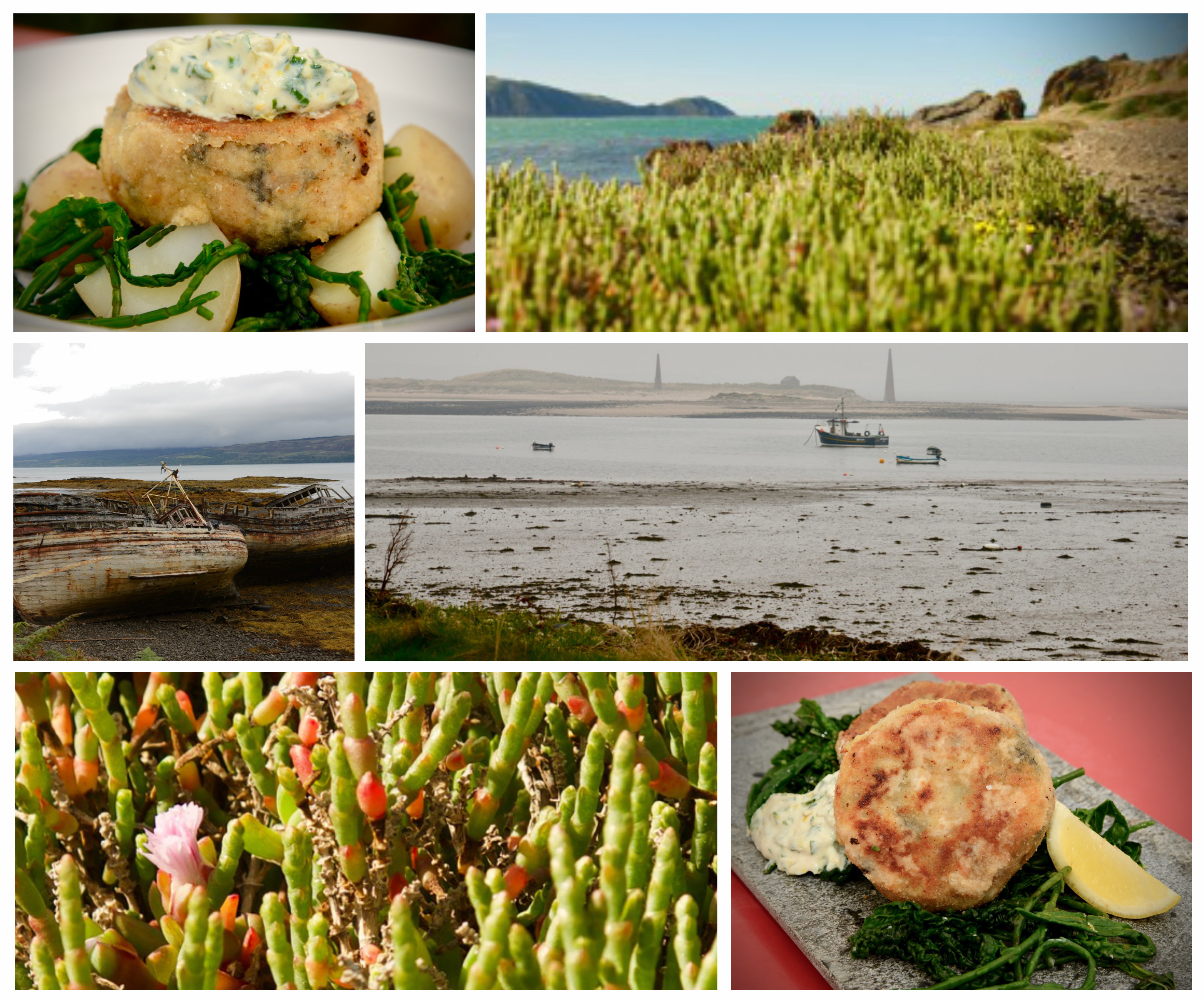 Taste of the seacakes collage