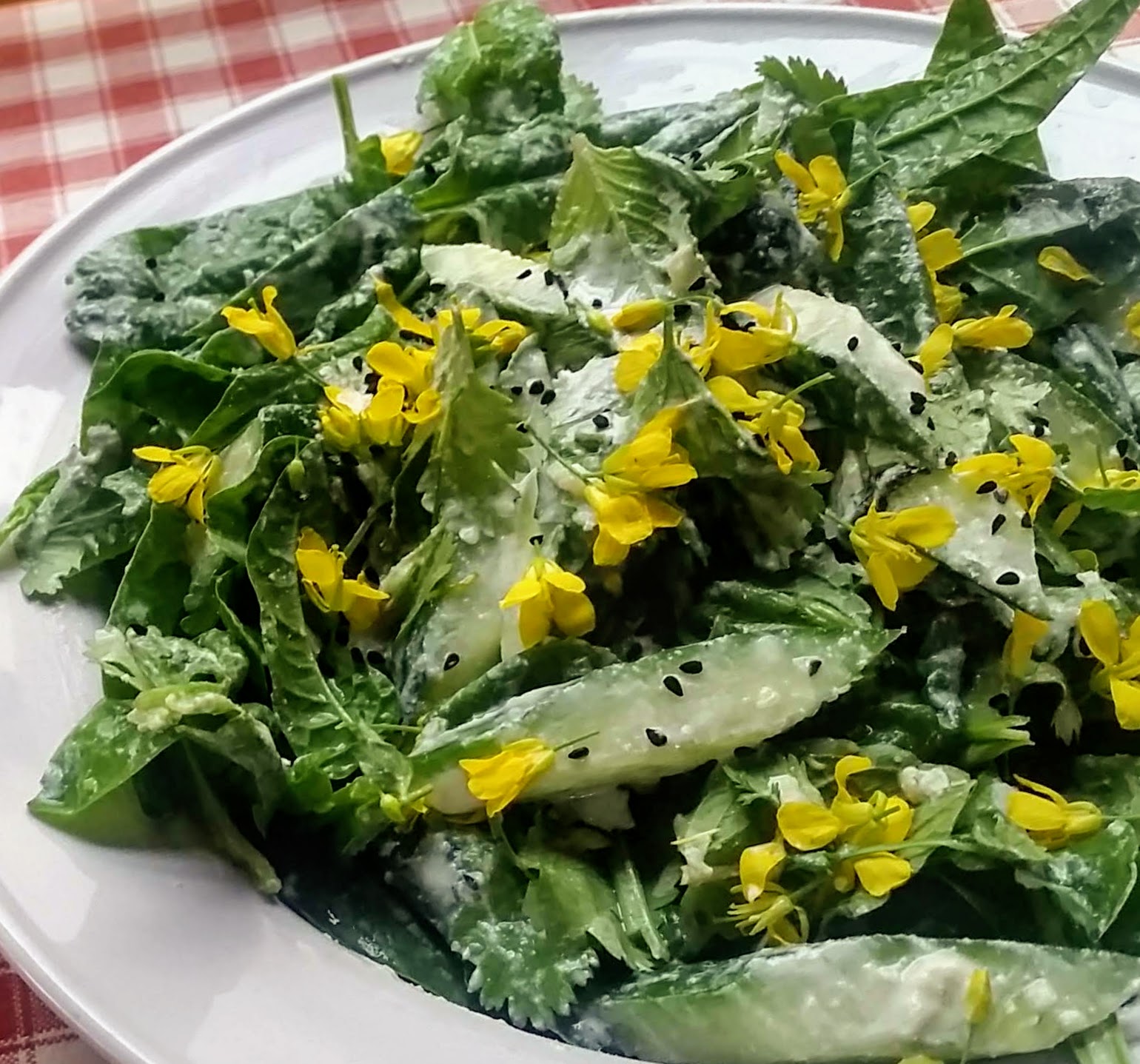 A salad of freshly picked spinach and herbs with cucumber and lemon ginger dressing, garnished with nigella seeds and mizuna flowers