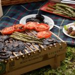 Summer vegetable BBQ picnic