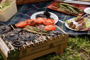 Summer vegetable BBQ picnic