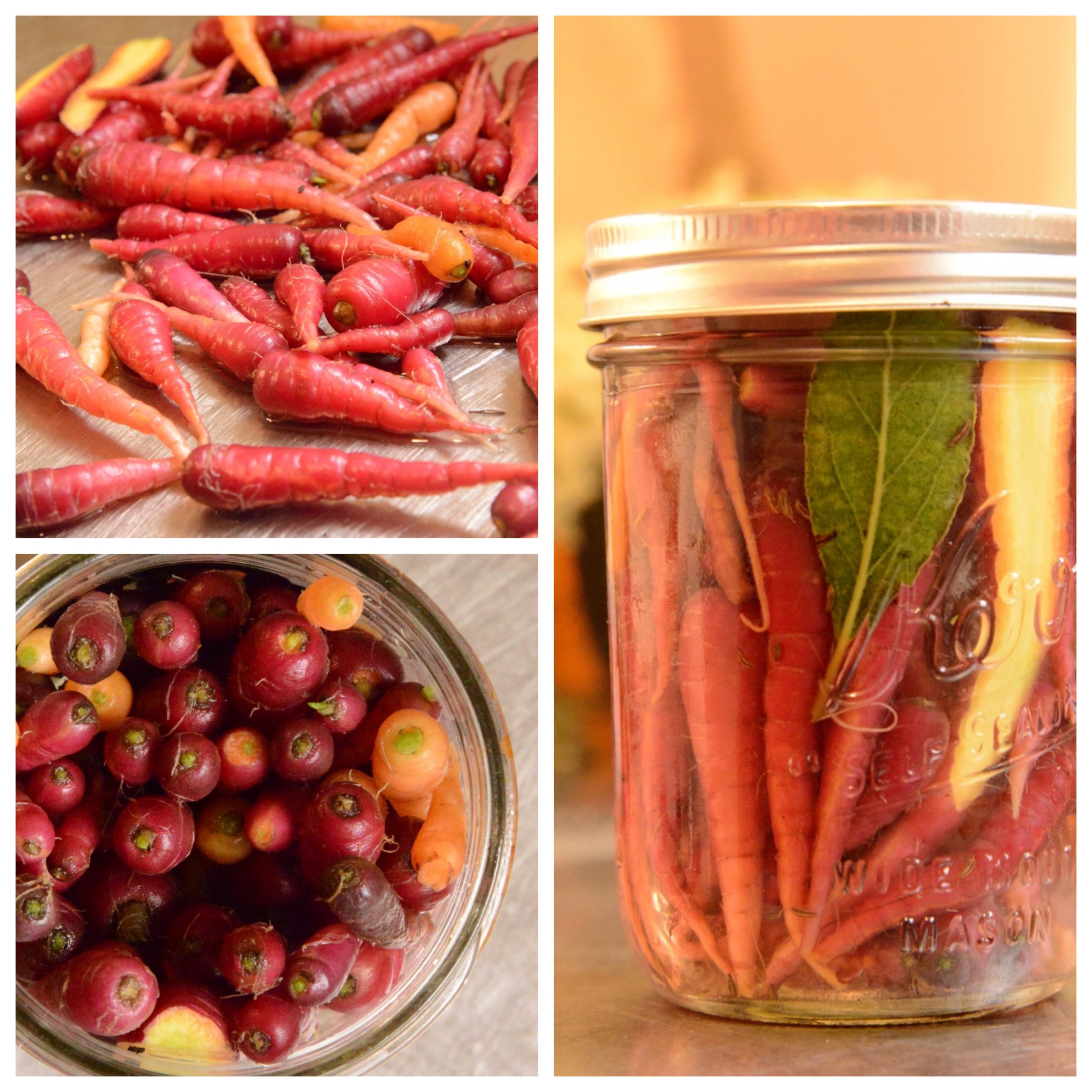 collage of little carrot pickling