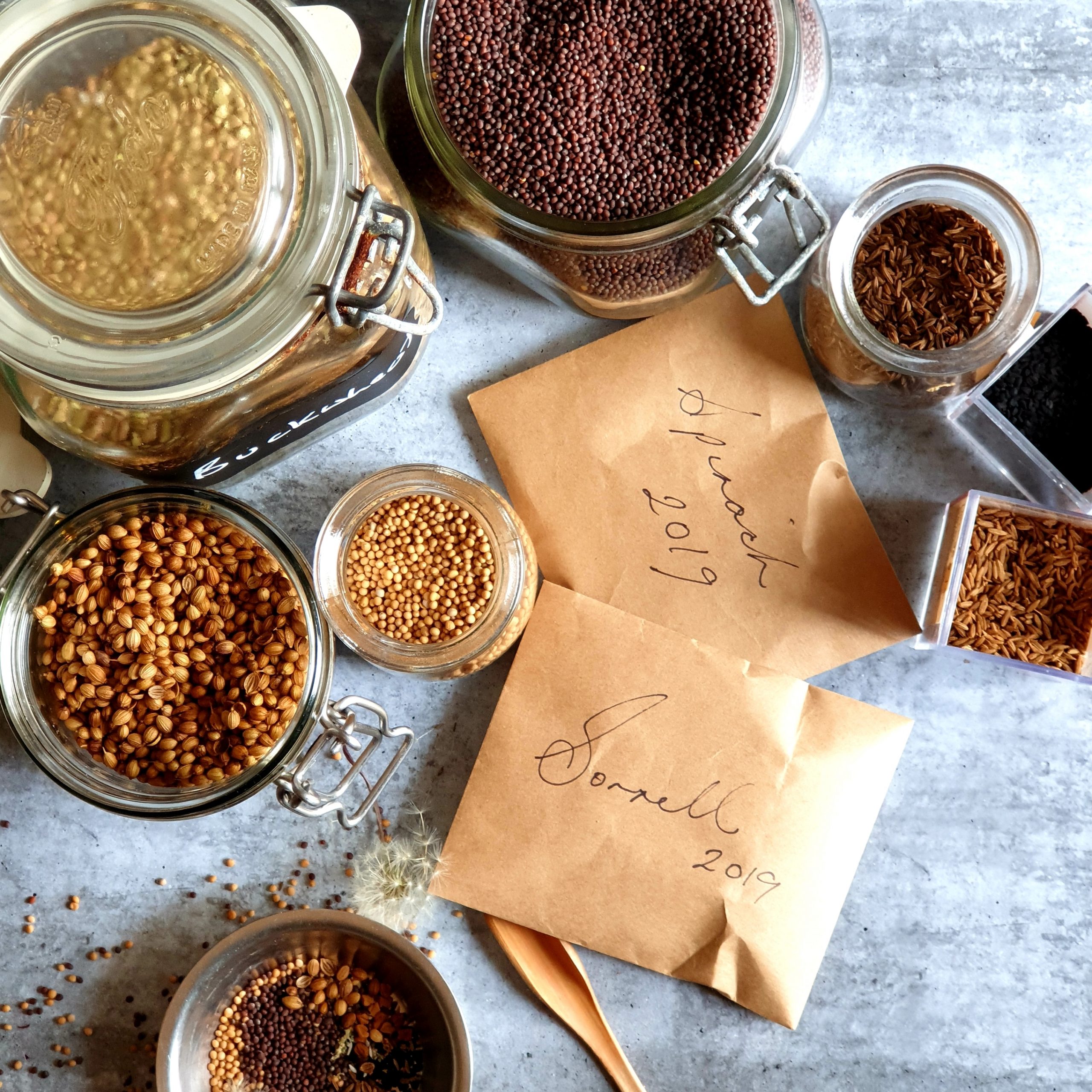 Glass jars of whole seeds and spices from the pantry, brown envelopes of home saved seeds on a grey concrete bench