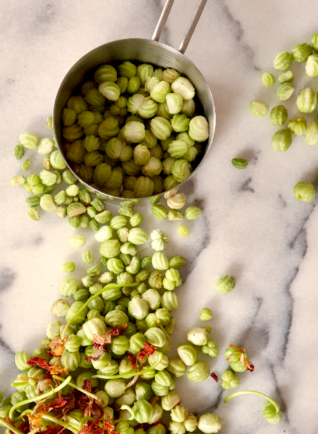 Sorting nasturtium capers on a marble bench into a measuring cup